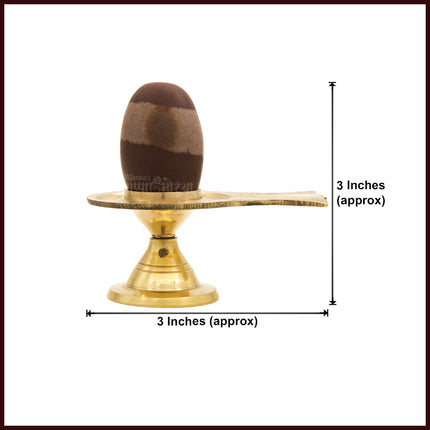 Tripunda Trilochana Natural Rare Narmada Mahakal Shivling for Puja & Abhishek