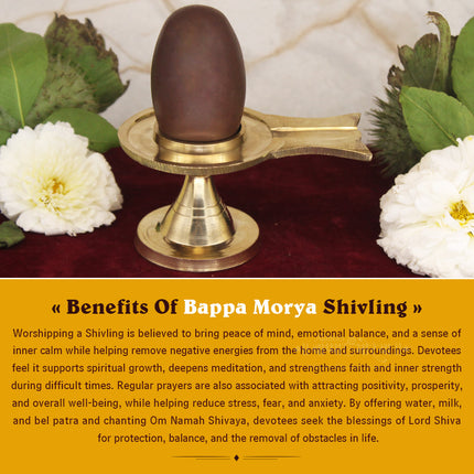 Narmada Shivling with Yonibase for Shiv Pujan & Abhishek | Natural Narmadeshwar Shivling for Home Temple & Spiritual Worship (Size -3)