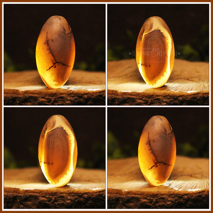 Bhasm Vibhuti Mahadeva Shivling With Divine Nandi Vahan Of Shiva With Trishul For Home Temple Decor  Sacred Shiva Lingam For Mahashivratri & Shravan Pujan