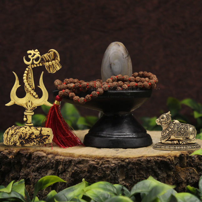 Bhasm Vibhuti Mahadeva Shivling With Divine Nandi Vahan Of Shiva With Trishul For Home Temple Decor  Sacred Shiva Lingam For Mahashivratri & Shravan Pujan