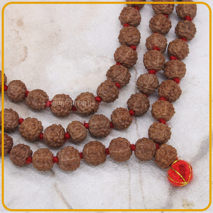 Divine 108 Beads Rudraksha Natural Seed Prayer Beads Rudraksha  Powerful Rudraksha Mala for Positive Vibes, Meditation, Mantra Japa Mala, Shiv Blessings( 16 inch )