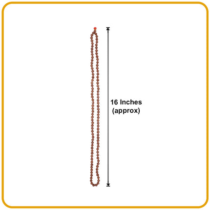Divine 108 Beads Rudraksha Natural Seed Prayer Beads Rudraksha  Powerful Rudraksha Mala for Positive Vibes, Meditation, Mantra Japa Mala, Shiv Blessings( 16 inch )